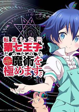 转生成第七王子，随心所欲的魔法学习之路