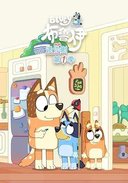 布鲁伊迷你剧